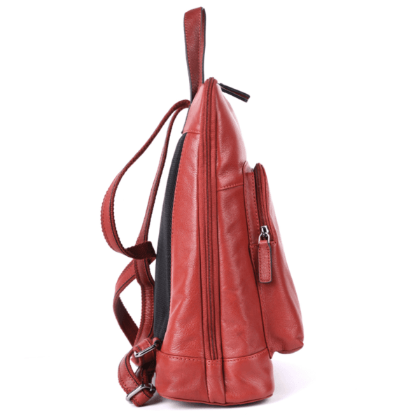 Scarlet Luxe Leather Backpack - Image 4